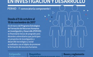 1507319268_2017-re-una-becas-posgrado-cin (1)